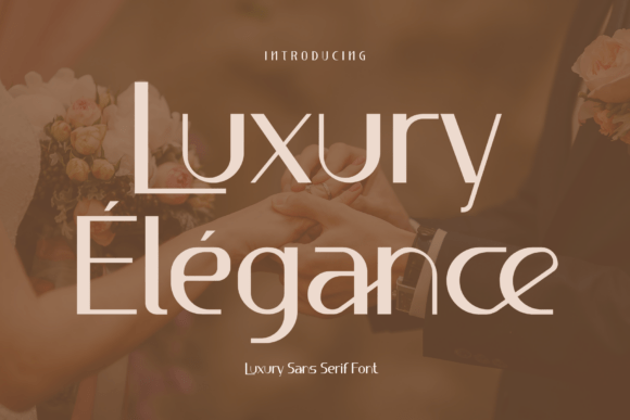 Luxury Élégance: A Modern Sans Serif Font for Web Design